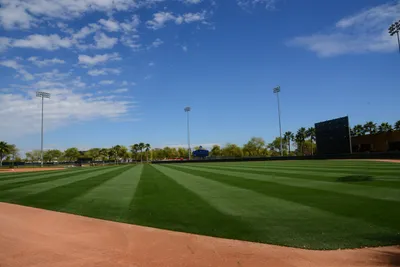 DSC_1508 (Large).JPG